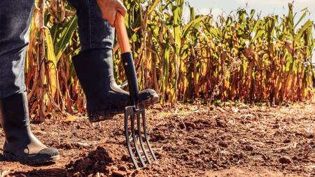 Forged Digging Fork, wooden handle